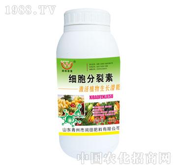 ����-��(x��)��������