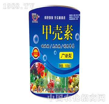 ����-�ך���