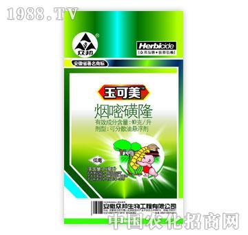 ����-�����-���׻�¡