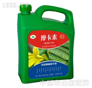 �S���־����AҺ-Ħ����-��о���H