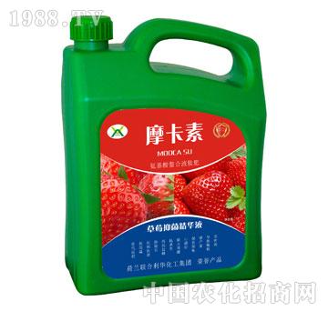 ��ݮ�־����AҺ-Ħ����-��о���H