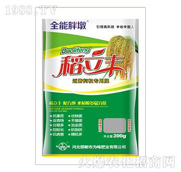 �����S-�����辌�(zhu��n)�÷�-���