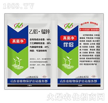 50%���X���i�\-�����+��H-�o�r