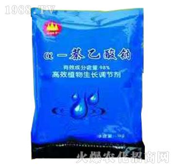 ��-�������c-��ɽ����