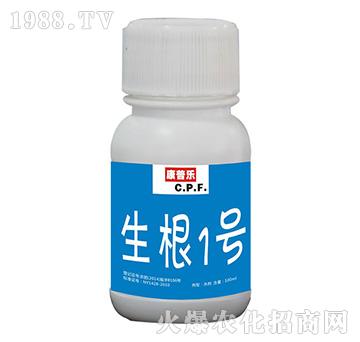 ����1̖-�r(n��ng)�_����