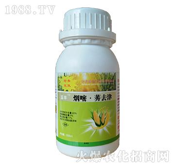 20%����ݬȥ��-�⚢�pЧ-�Z������