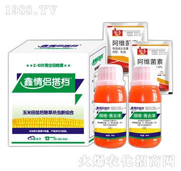 �����������ݚ��x�½M��-�����Ѻ�