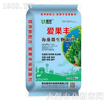 ����΢�������-��(��i)���S-��(��i)��