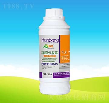 ����������-�n��ʘI(y��)