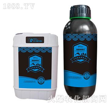 �����~����-������