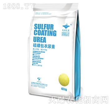 ��ǰ�������-�º���