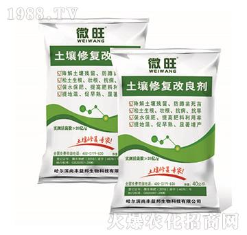 �����ޏ�(f��)������-΢��-���S���