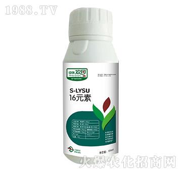 16Ԫ��-����g��-�������r