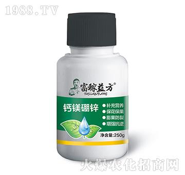 �}�V���\-�����淽-�Gʿ��