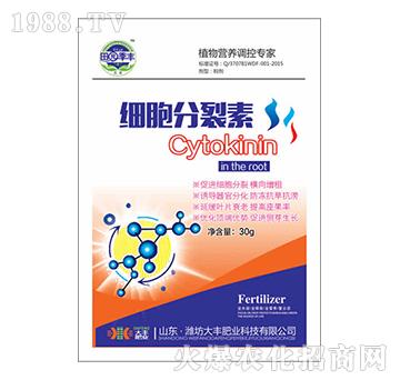 ��(x��)��������-��@���S-���S�ʘI(y��)