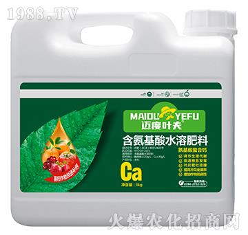 �����������}-�~���~��