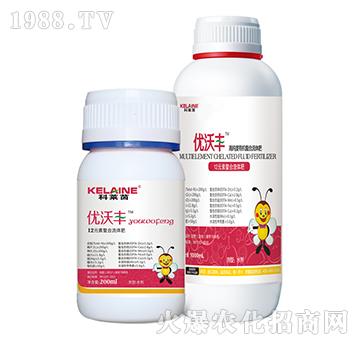 12Ԫ���������w��-��(y��u)���S-�W���r(n��ng)�I(y��)