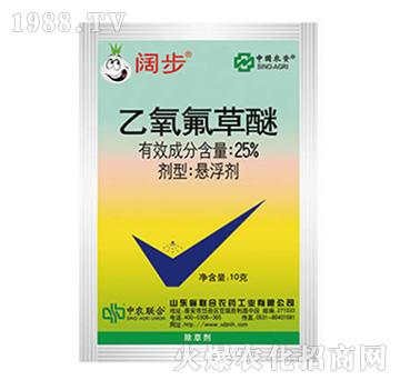 25%����������-韲�-���r(n��ng)(li��n)��