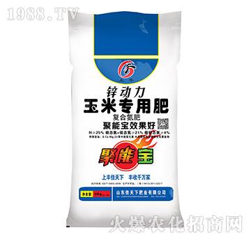 ���׌��÷�-�\����-���S-������