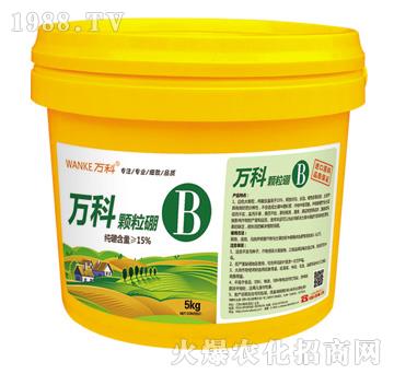 �w����-�f��