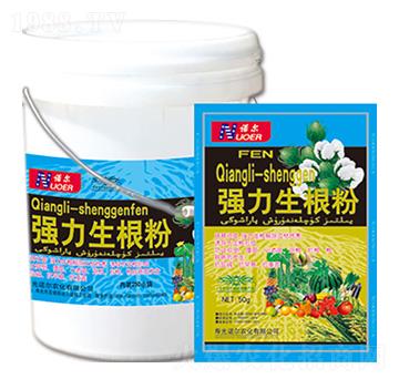 ���������� �R������