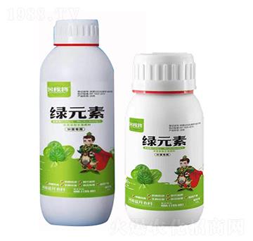 �~�ˌ��þGԪ�� ��ڌ� �{���r��