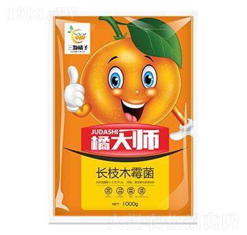 �L(zh��ng)֦ľù��-�ٴ�-���w����