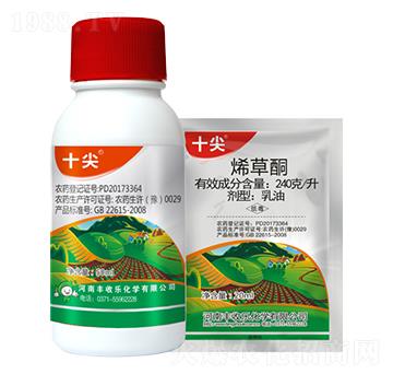 240��ÿ��ϩ��ͪ-ʮ��-�S�՘�