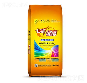 ��(f��)��΢������� �߲ʲ��� �ϻ�