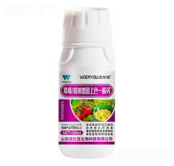 ��ݮ������������ɫһ���`-�֠���(y��u)