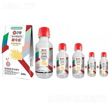 ���׸߮a��Q����-�n����-�n�ѻ��W