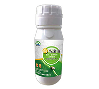 �E�R����