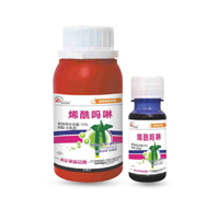 10%ϩ������-˪ù���Ŀ���