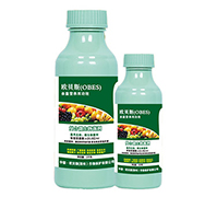 ̿�Ҳ���Ч��(f��)��΢�������