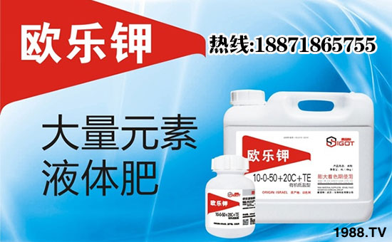 ��ِ���ء���ף���Ͽ͑��u���д��\(y��n)��ؔ(c��i)Դ�L�L����