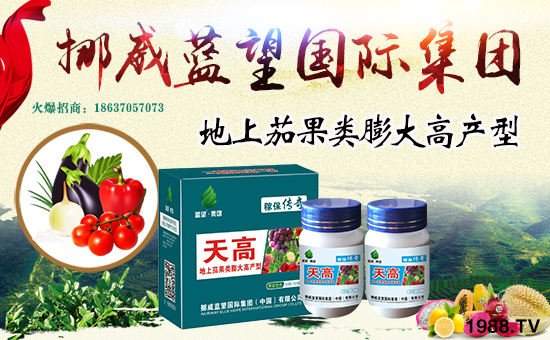 Ų���{(l��n)����(gu��)�H���F(tu��n)���Ї�(gu��)�����޹�˾