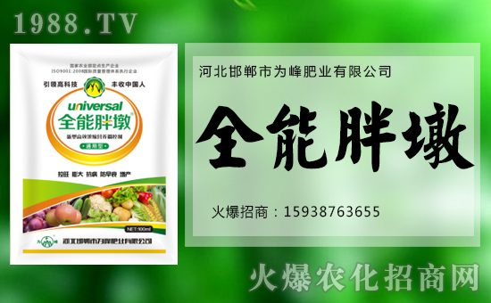 �����ʘI(y��)���o����������ף���´������f��������