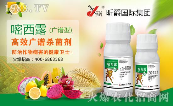 꿾��(gu��)�H���F(tu��n)