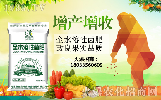 �ػʍu�f(w��n)������������޹�˾2