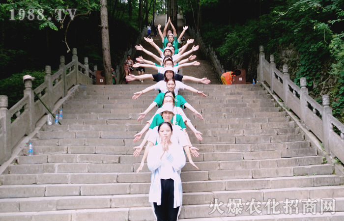 ���ƺ�̤ɽ�n���ΰ��Ƒ��{�죡