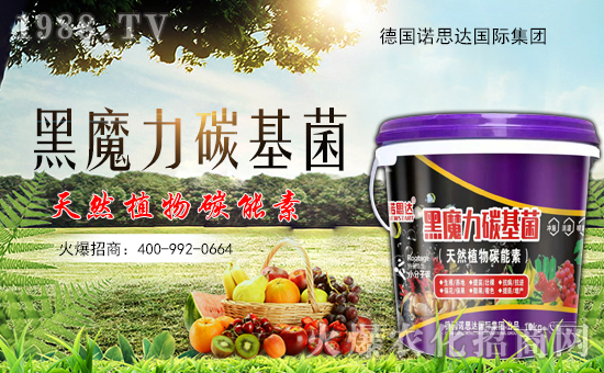 ����(gu��)�Z˼�_(d��)����ף����´��옷(l��)���Ҹ�������