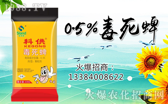 �����ɽ��r(n��ng)�I(y��)��ף������µ�һ���������³�������������