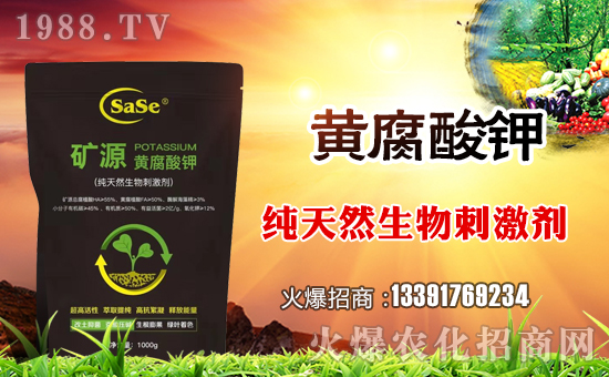 ���_˹���Q(m��o)��ȫ�w�T��ףȫ���������µ�һ����������\�����X�]����