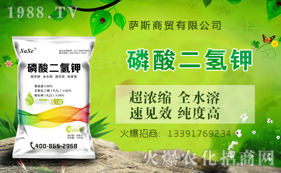 ���_˹���Q(m��o)��ȫ�w�T��ףȫ���������µ�һ����������\�����X�]�꣡