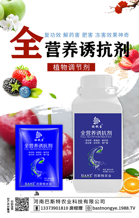 �Y(ji��)����{(l��n)��ôʩ�ʣ��Y(ji��)����{(l��n)��ʩ�ʼ��g(sh��)��