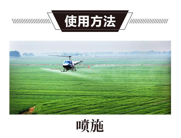 ̼��˷�-�t���T-̼����H_05