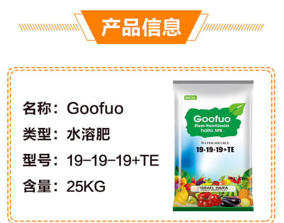 Goofuoˮ�ܷ�19-19-19+TE_02