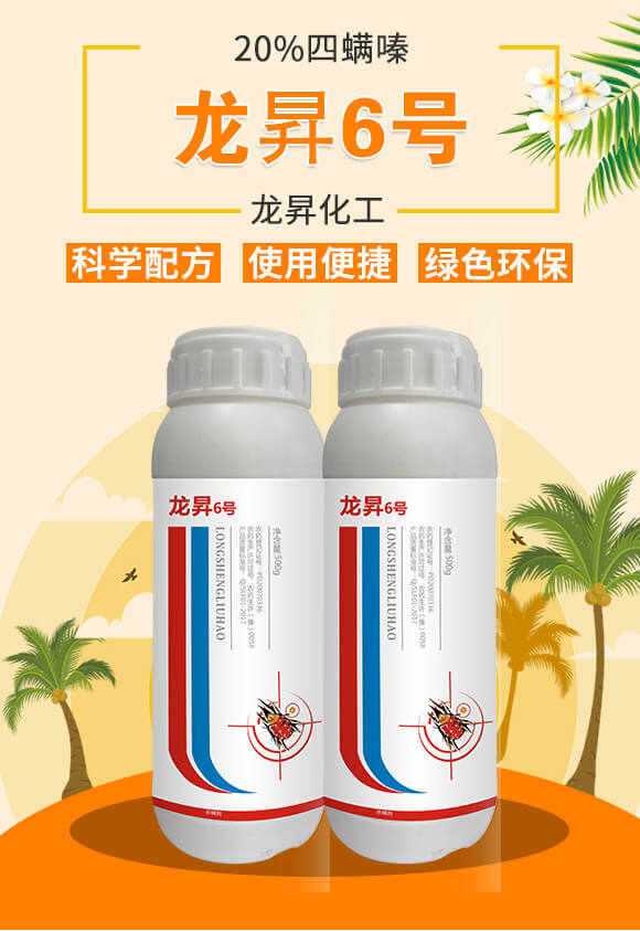 20%�����-���N6̖-���N����_02