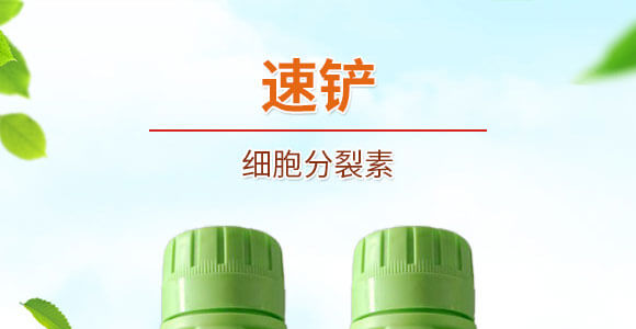 ��(x��)��������-���S���@_01