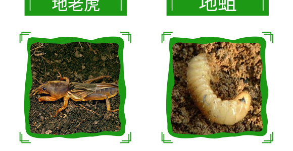 20%���衤������-����-��̖�r�I(y��)_12